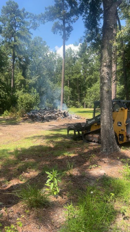 Tree Trimming & Removal