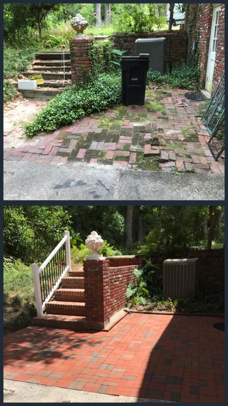 Landscape & Property Cleanup