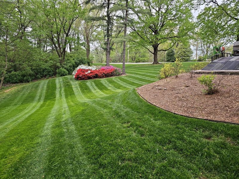 Lawn Maintenance Service