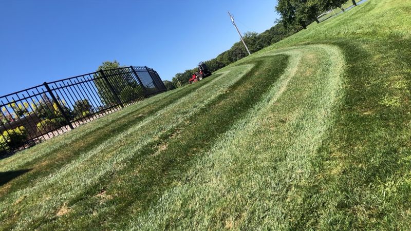 Lawn Care