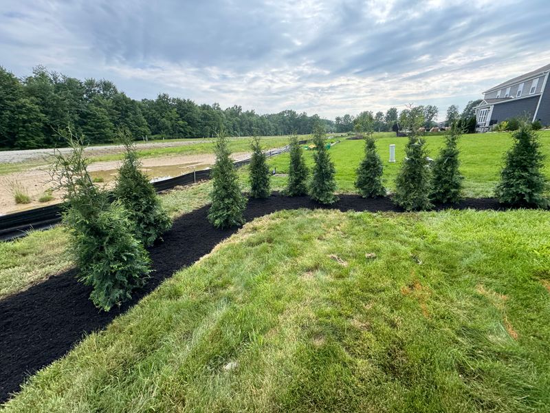 Hardscaping & Tree Installs 