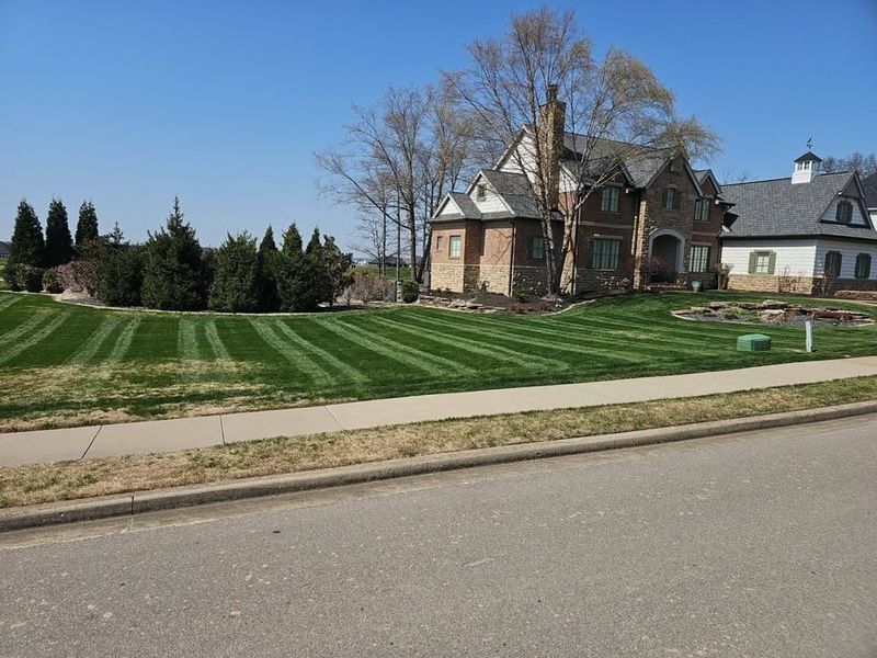 Lawn Maintenance Service