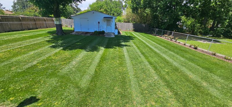 Beautiful Lawns