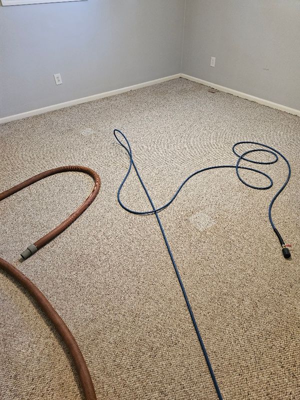 Carpet Cleaning