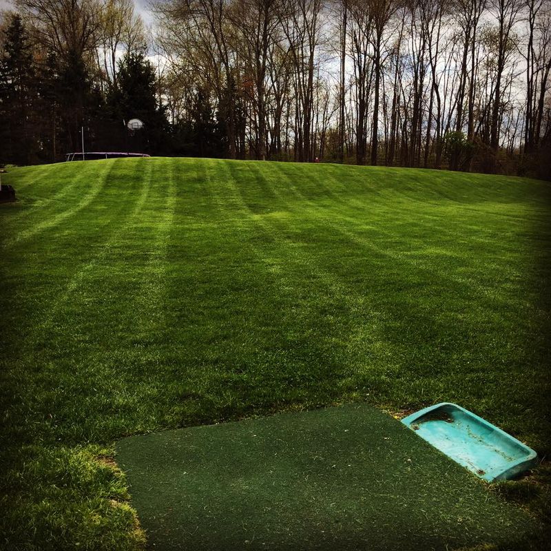 Lawn Maintenance