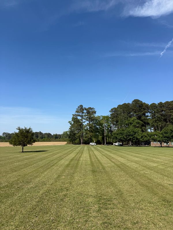 Lawn Maintenance