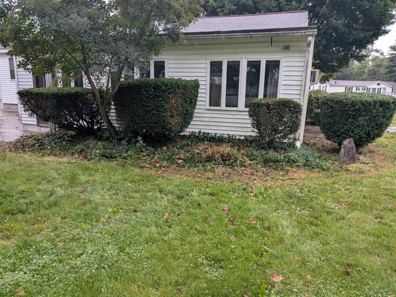 Tree & Shrub Care