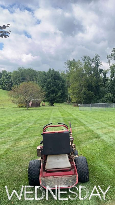 Lawn Maintenance