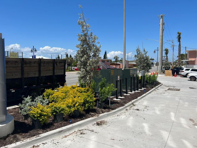 Landscape Design & Installation