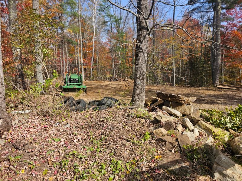 Tree Removal