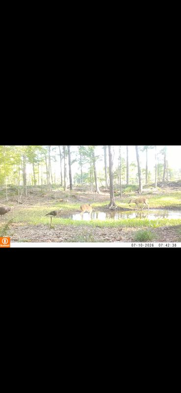 Transforming Terrains: Premier Excavating Services by Earthworks Unlimited