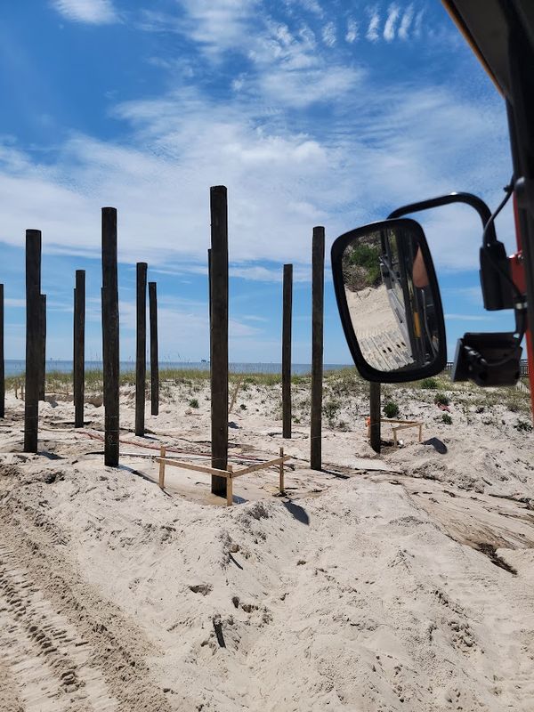 Pier Piling