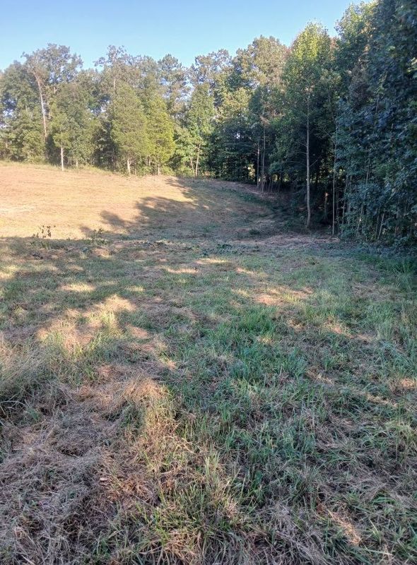 Land Clearing