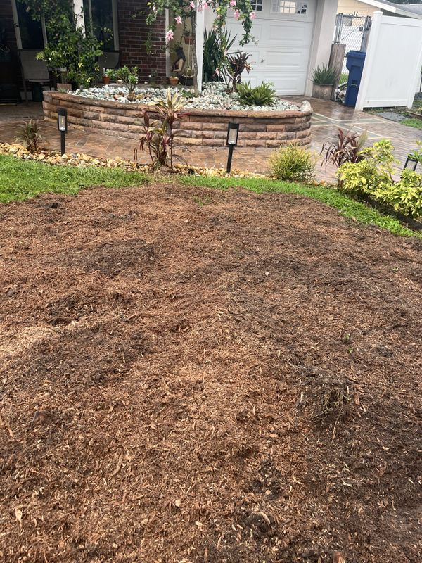 Stump Grinding