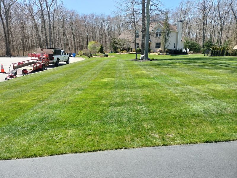 Landscaping gallery