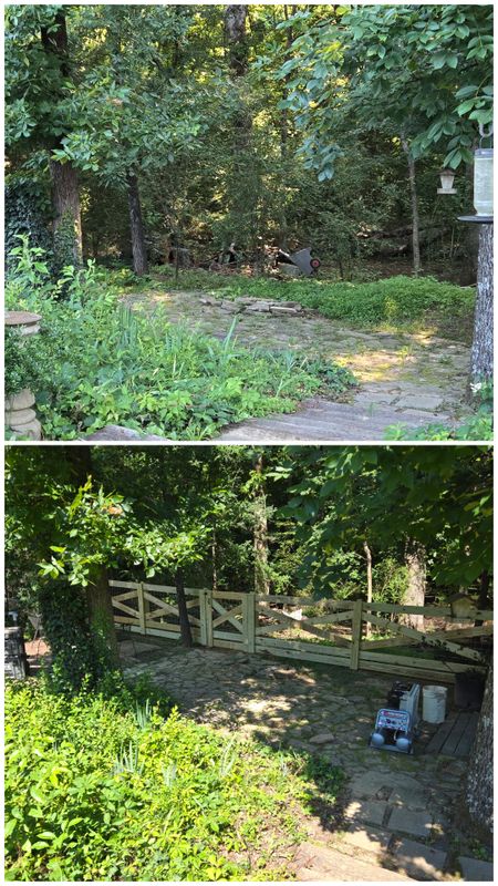Ranch/ Farm fence