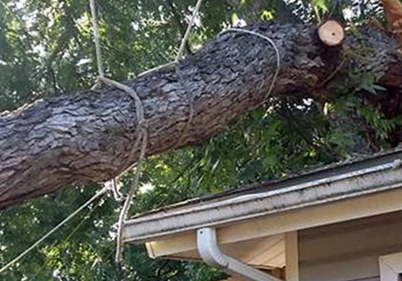 Storm Damage Repair