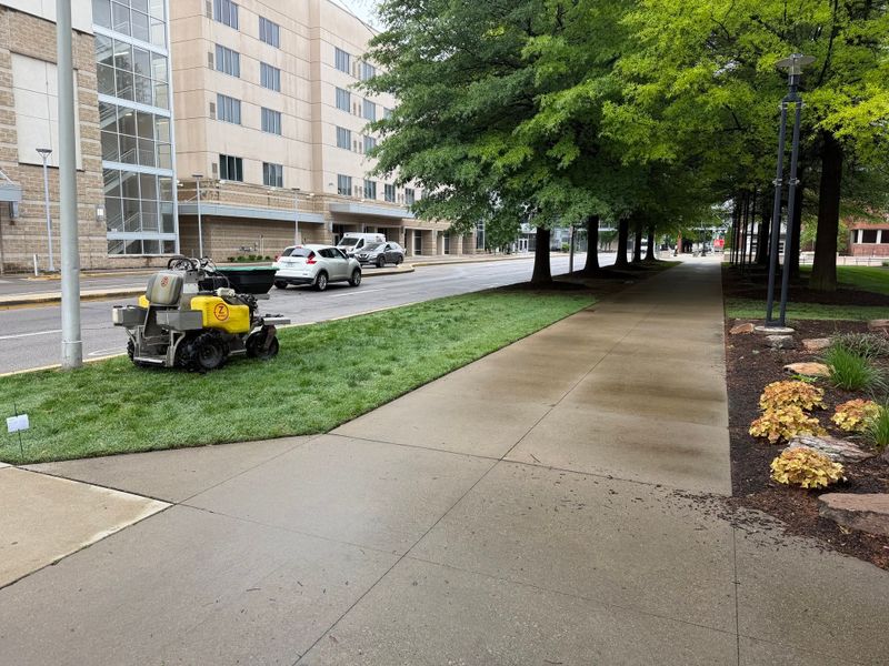 Lawn Fertilization