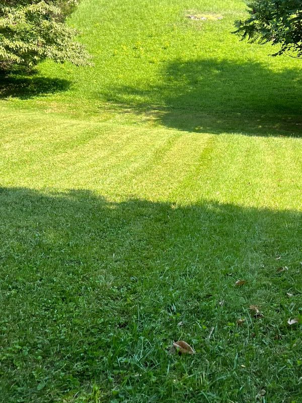 Lawn Care