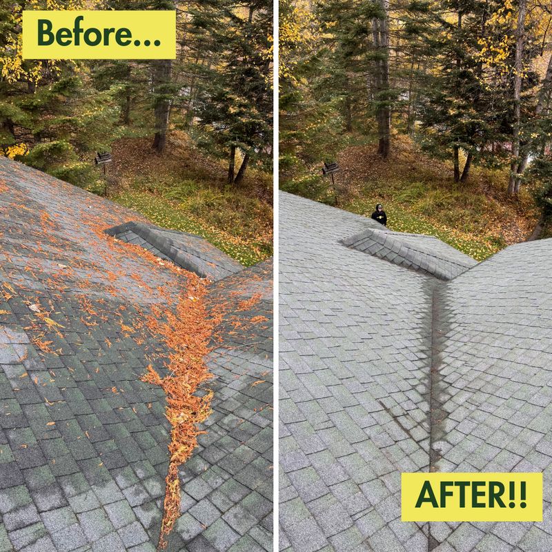 Before & After Photos