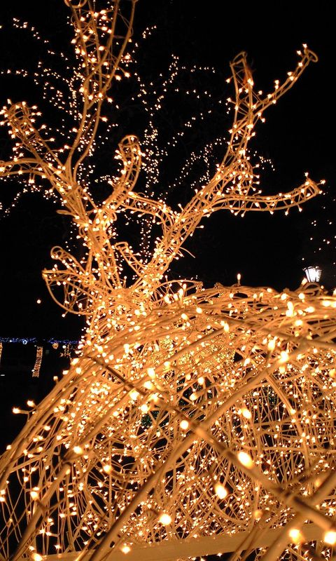 Lighting Installation & Repair