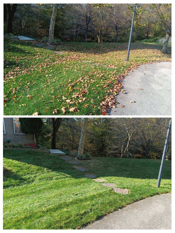Leaf and Fall Cleanup