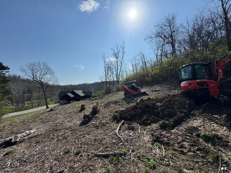 Land Clearing