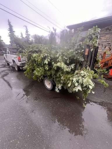 Yard Waste Removal