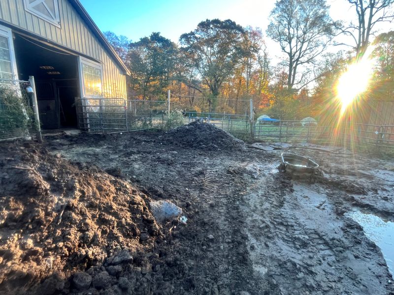 Excavation