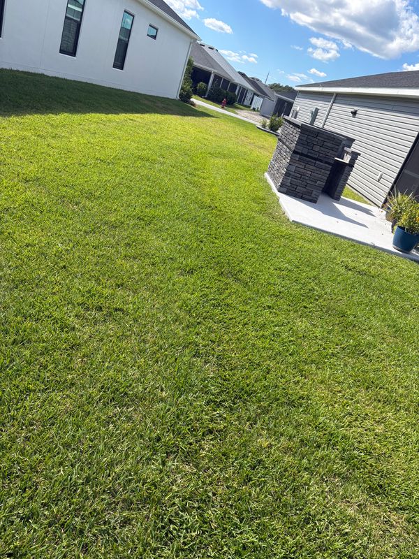 Lawn Maintenance