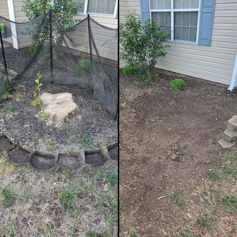 Stump Grinding