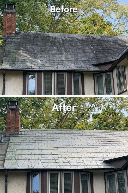 Roof Cleaning