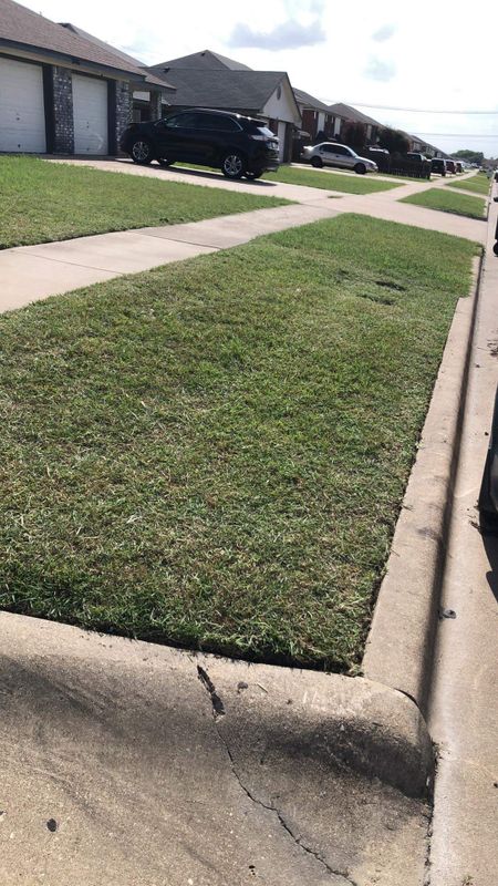 Lawncare