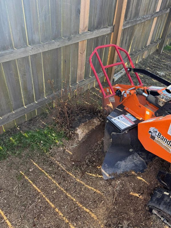 Stump Grinding gallery