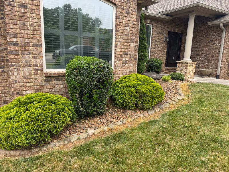 Lawn Maintenance