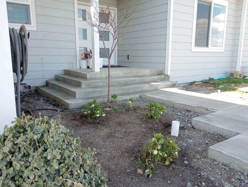 Stairs/Steps