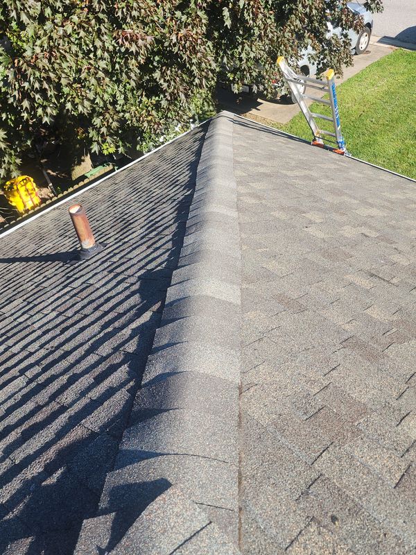 Roof Maintenance