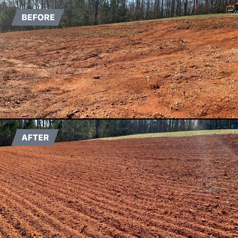 Skid Steer Work & Brush Clearing