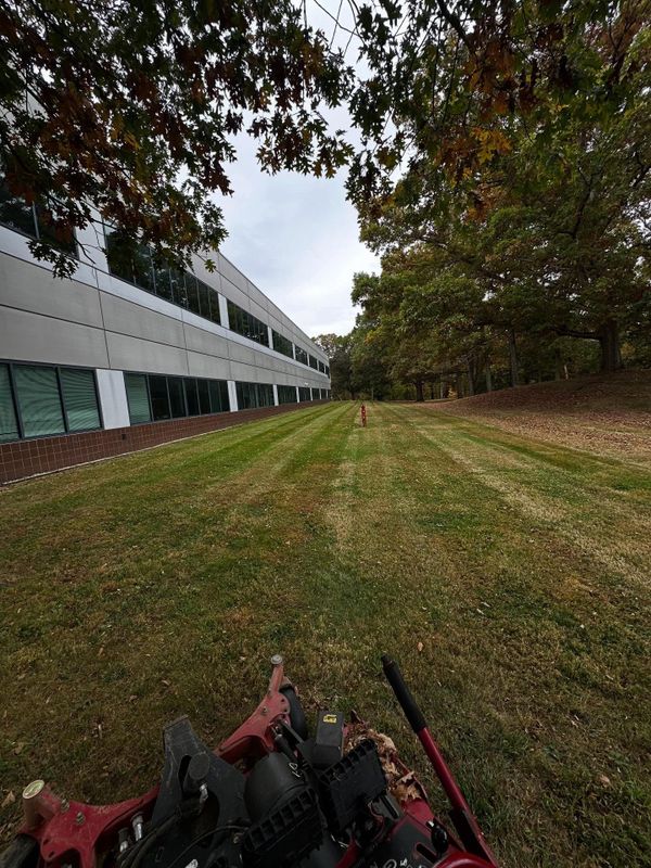 Lawn Maintenance