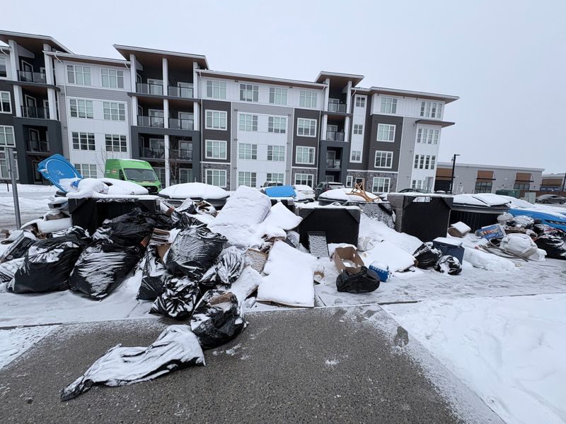 Junk Removal