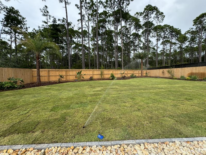 Sod Installation