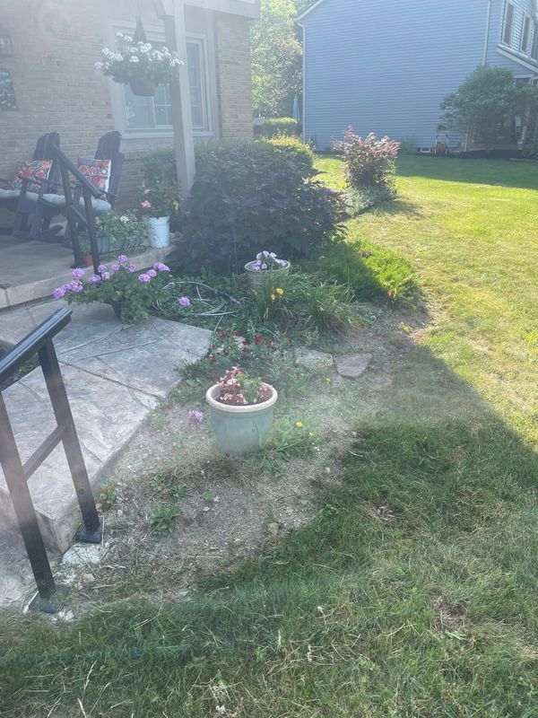 Garden Designs