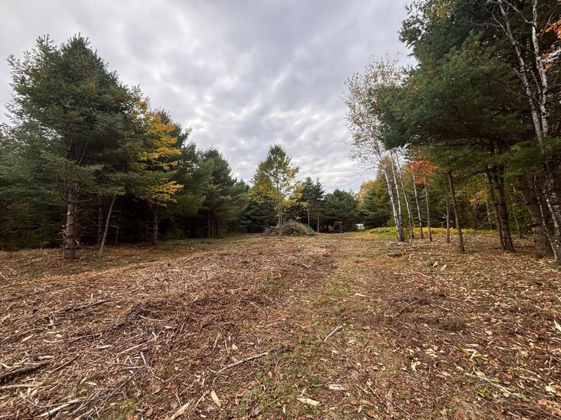 Forestry Mulching