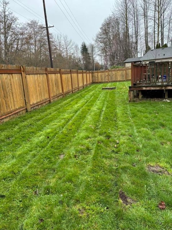Hedge Trimming
