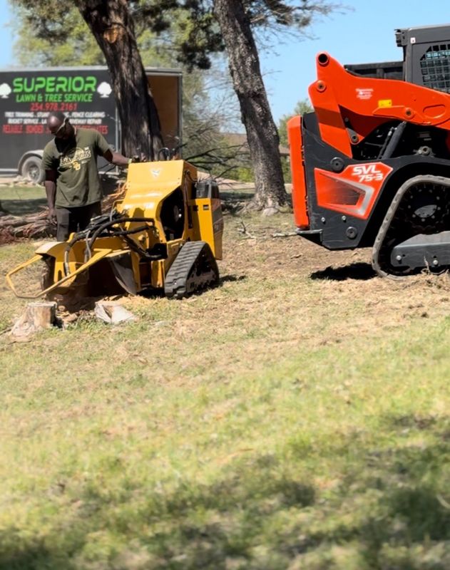Tree Services