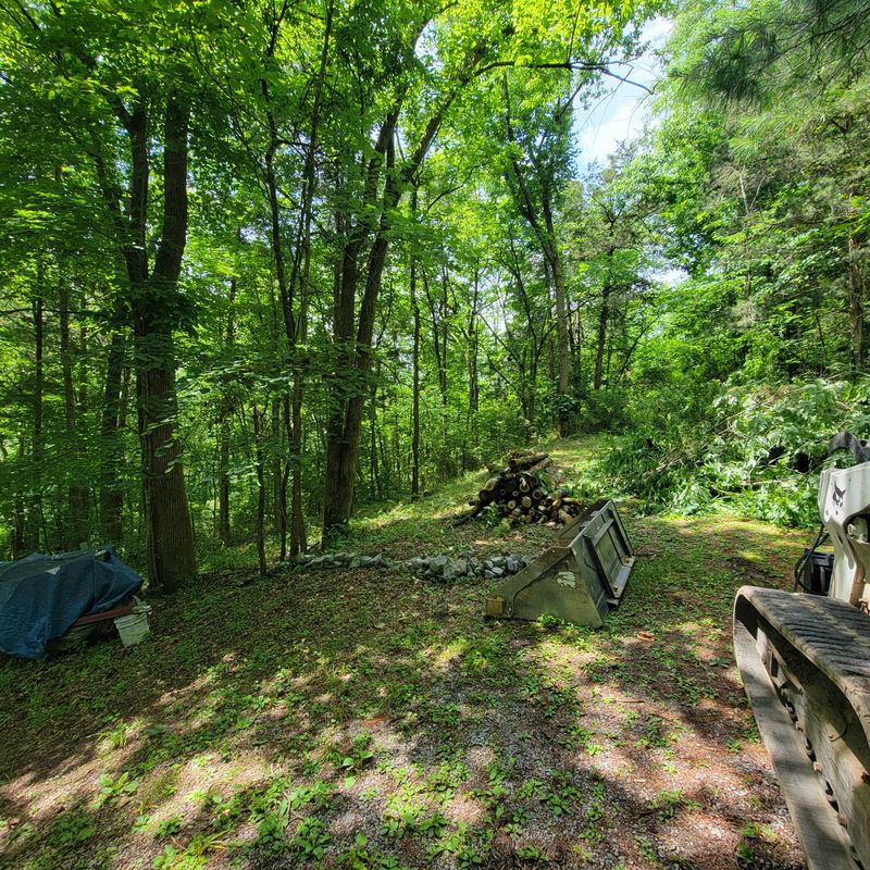 Tree Trimming & Removal