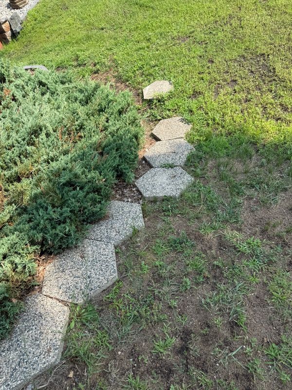Land Clearing und Grading