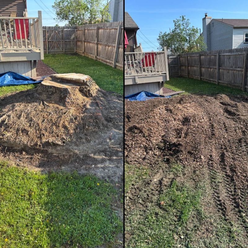 Stump Removal