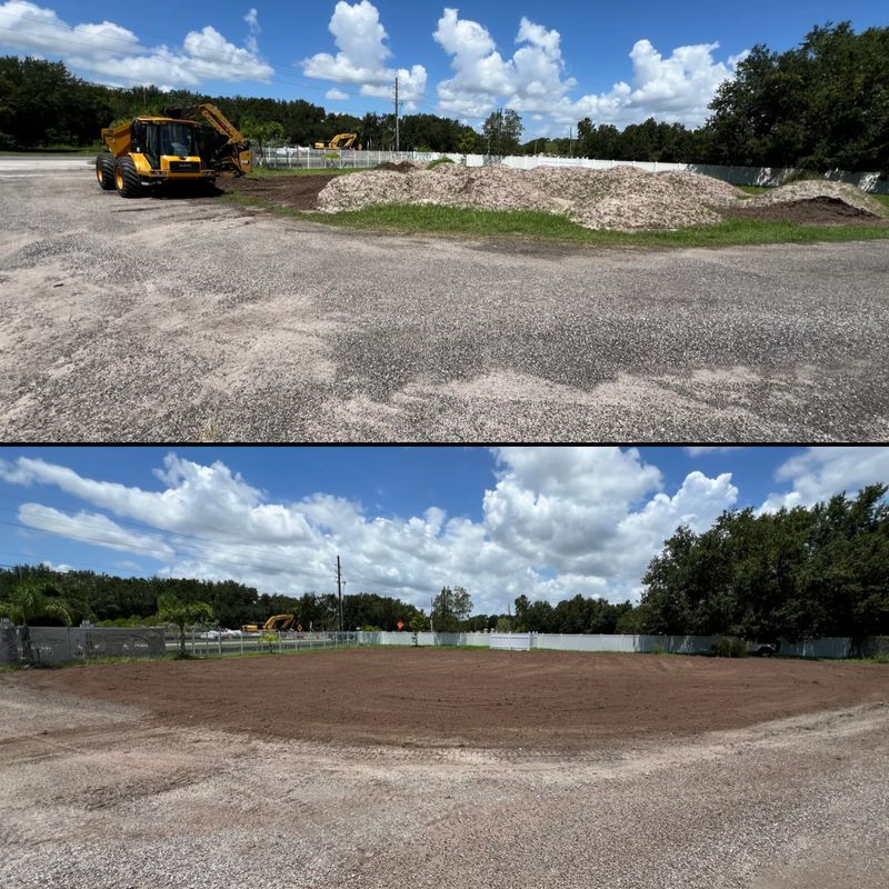 Before & afters