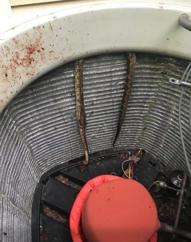 HVAC